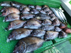 利弥丸(としやまる) 釣果