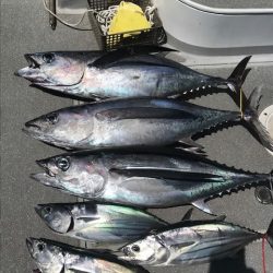 へいみつ丸 釣果