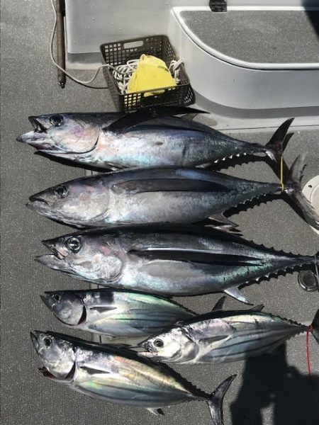 へいみつ丸 釣果