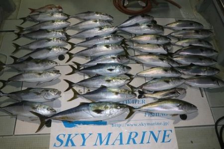 スカイマリン 釣果