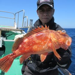 真祐丸 (しんゆうまる) 釣果