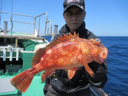 真祐丸 (しんゆうまる) 釣果
