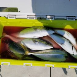 遊漁船 ニライカナイ 釣果