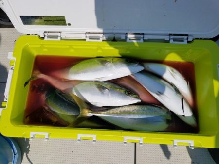 遊漁船 ニライカナイ 釣果