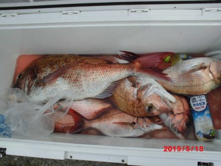 大進丸（新潟） 釣果