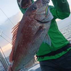 遊漁船ブルーウッズ 釣果