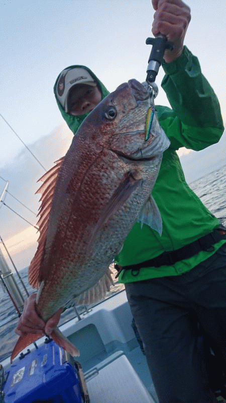 遊漁船ブルーウッズ 釣果