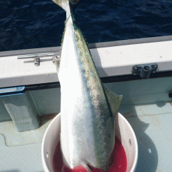 遊漁船ブルーウッズ 釣果