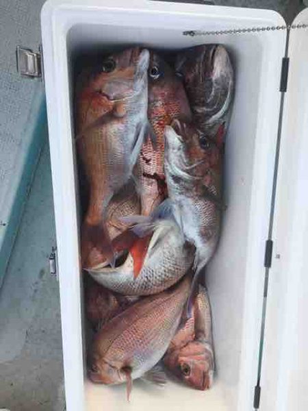 龍宮丸 釣果