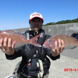 大進丸(新潟) 釣果