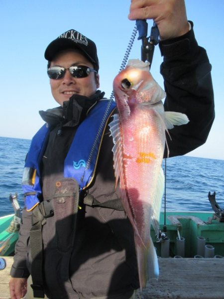 真祐丸 (しんゆうまる) 釣果