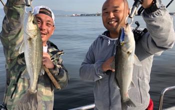 シーマジカル 釣果