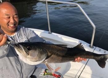 シーマジカル 釣果