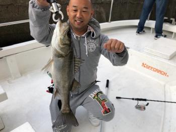 シーマジカル 釣果