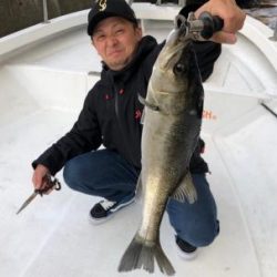 シーマジカル 釣果