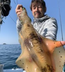 愛海丸 釣果