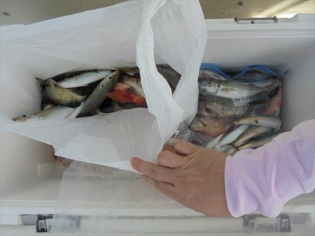 ＨＡＲＵＫＡ丸　はるかまる 釣果