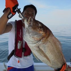HARUKA丸 はるかまる 釣果