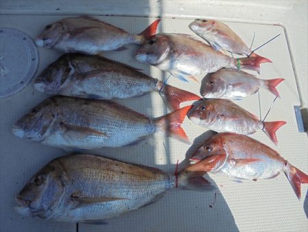 HARUKA丸 はるかまる 釣果