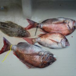 ＨＡＲＵＫＡ丸　はるかまる 釣果
