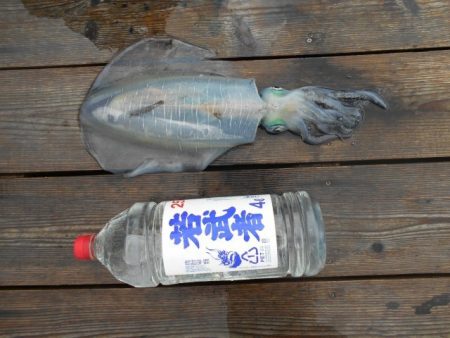 こかわ渡船　雅丸 釣果