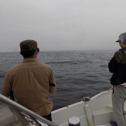 フィッシングボート空風(そらかぜ) 釣果