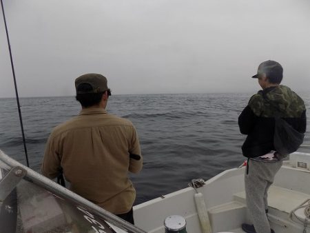 フィッシングボート空風(そらかぜ) 釣果