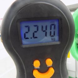 フィッシングボート空風(そらかぜ) 釣果