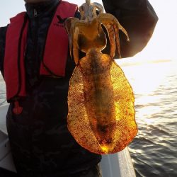 フィッシングボート空風(そらかぜ) 釣果