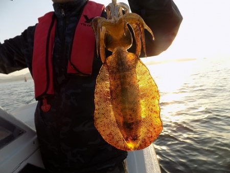 フィッシングボート空風(そらかぜ) 釣果