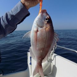 フィッシングボート空風(そらかぜ) 釣果