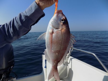 フィッシングボート空風(そらかぜ) 釣果