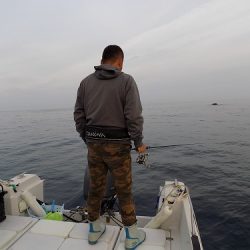 フィッシングボート空風(そらかぜ) 釣果