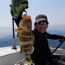 フィッシングボート空風(そらかぜ) 釣果