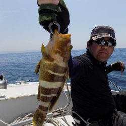 フィッシングボート空風(そらかぜ) 釣果