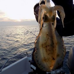 フィッシングボート空風(そらかぜ) 釣果