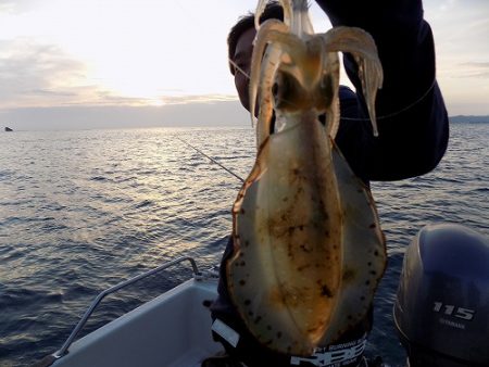 フィッシングボート空風(そらかぜ) 釣果