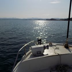 フィッシングボート空風(そらかぜ) 釣果