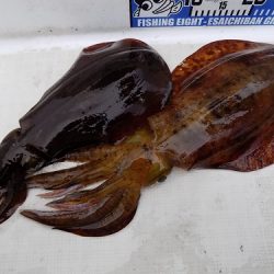 フィッシングボート空風(そらかぜ) 釣果