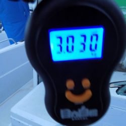 フィッシングボート空風(そらかぜ) 釣果