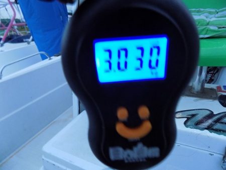 フィッシングボート空風(そらかぜ) 釣果