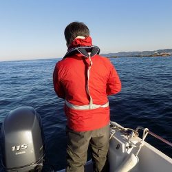フィッシングボート空風(そらかぜ) 釣果