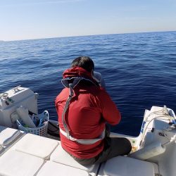 フィッシングボート空風(そらかぜ) 釣果