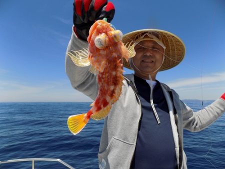 フィッシングボート空風(そらかぜ) 釣果