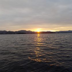 フィッシングボート空風（そらかぜ） 釣果