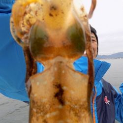 フィッシングボート空風（そらかぜ） 釣果