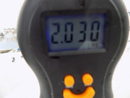 フィッシングボート空風（そらかぜ） 釣果