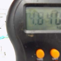 フィッシングボート空風（そらかぜ） 釣果