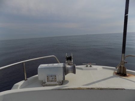 フィッシングボート空風（そらかぜ） 釣果