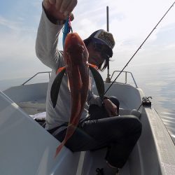 フィッシングボート空風（そらかぜ） 釣果